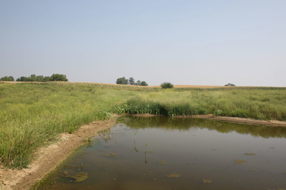 Full Size Image = 253 K