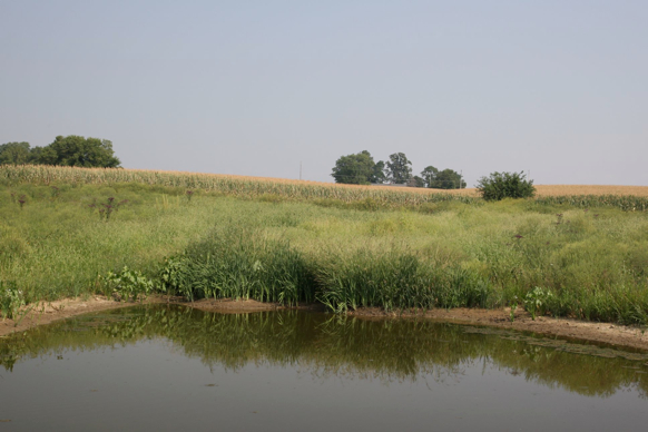 Full Size Image = 323 K