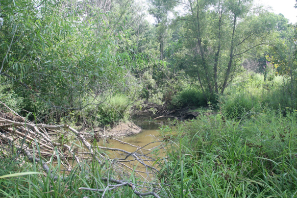 Full Size Image = 817 K