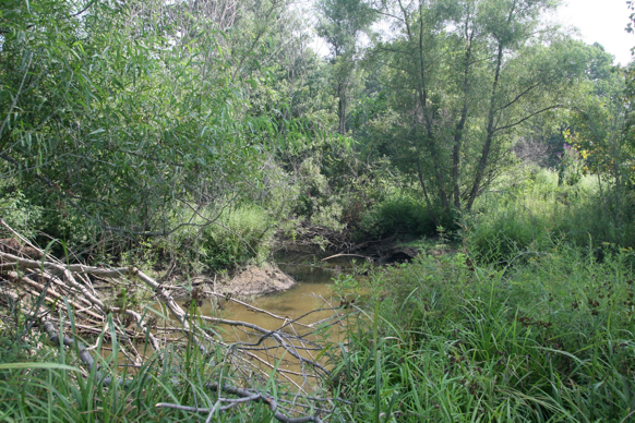 Full Size Image = 802 K