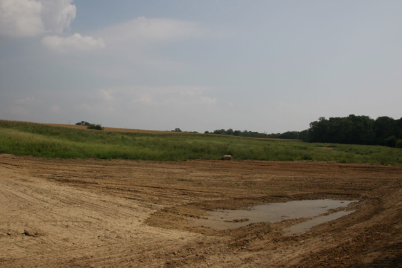 Full Size Image = 290 K