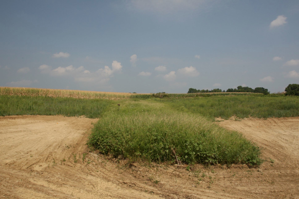 Full Size Image = 348 K