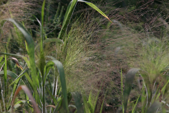 Full Size Image = 351 K