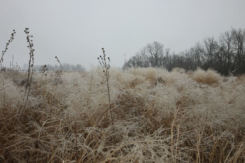 Full Size Image = 4810 K