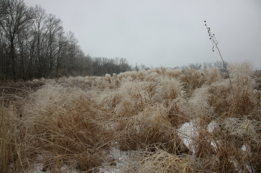 Full Size Image = 5202 K