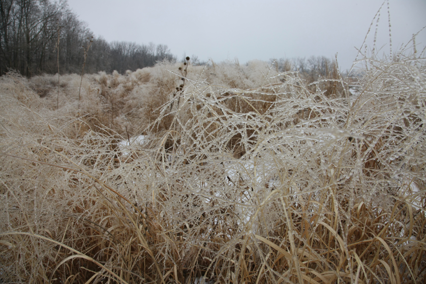 Full Size Image = 4951 K