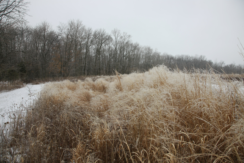 Full Size Image = 5503 K