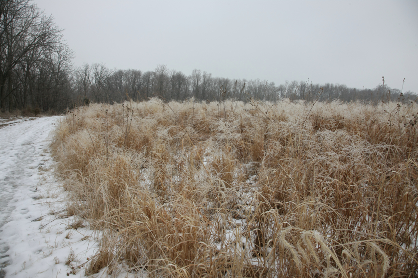 Full Size Image = 5430 K