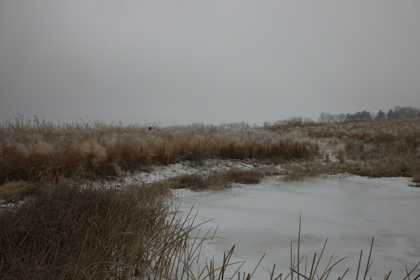 Full Size Image = 3366 K