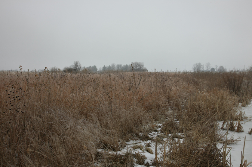 Full Size Image = 4174 K