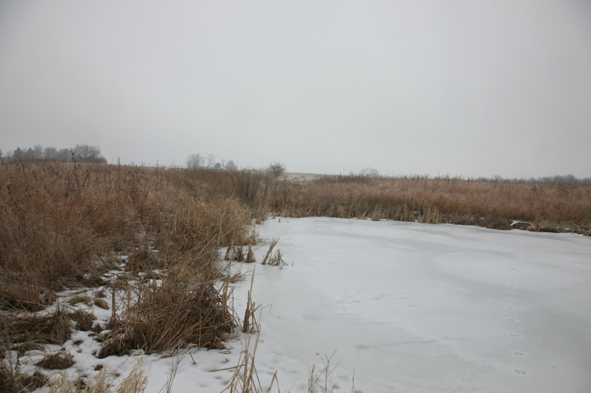 Full Size Image = 3065 K