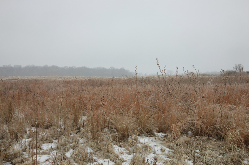 Full Size Image = 4335 K