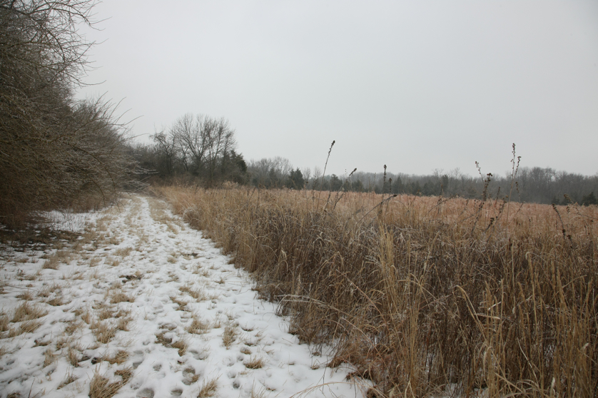 Full Size Image = 4760 K