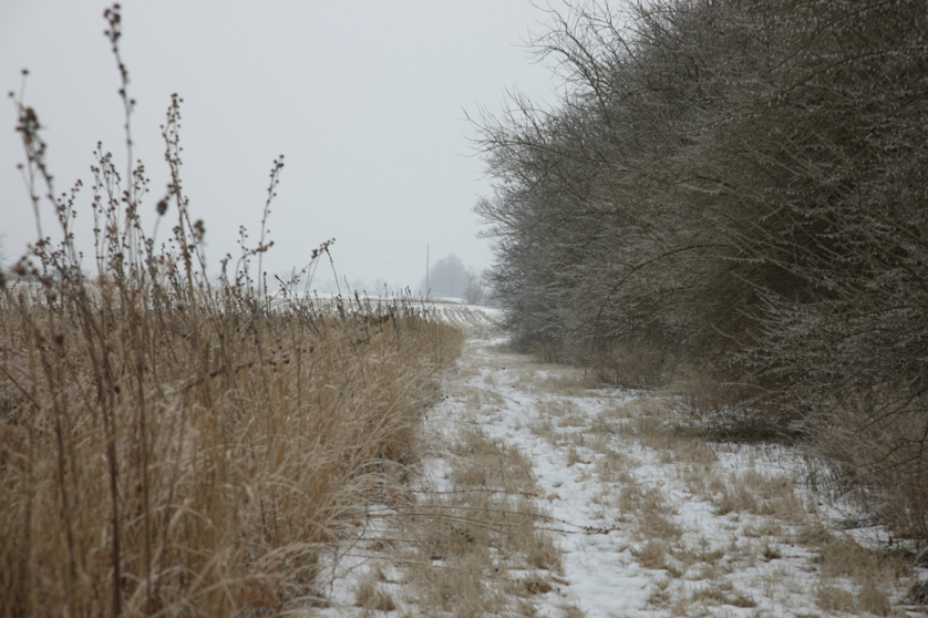 Full Size Image = 3848 K