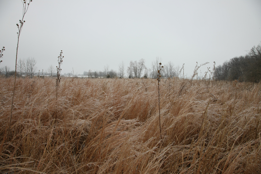 Full Size Image = 4648 K