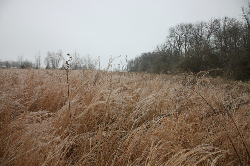 Full Size Image = 5168 K