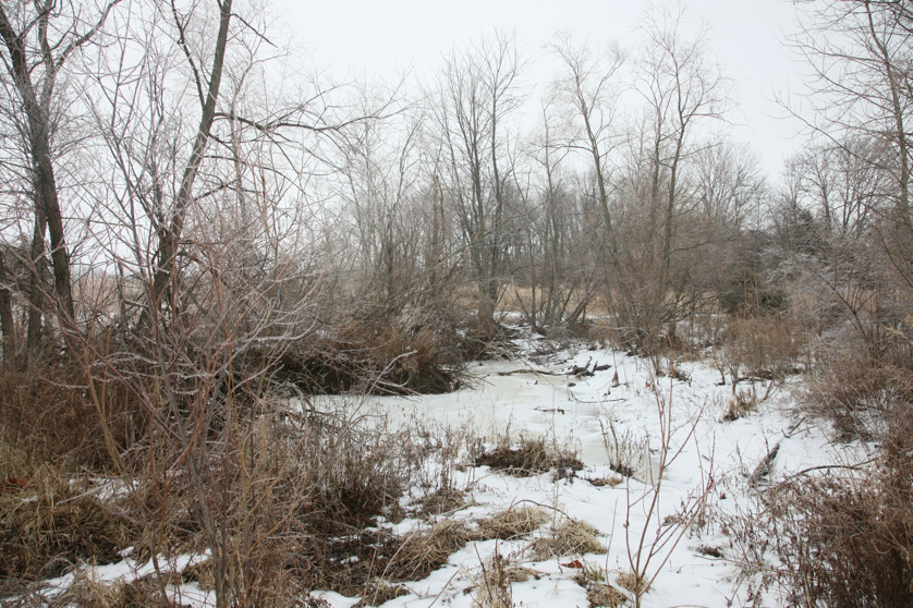 Full Size Image = 7013 K