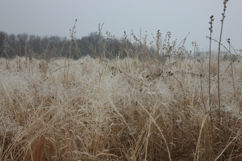 Full Size Image = 5024 K