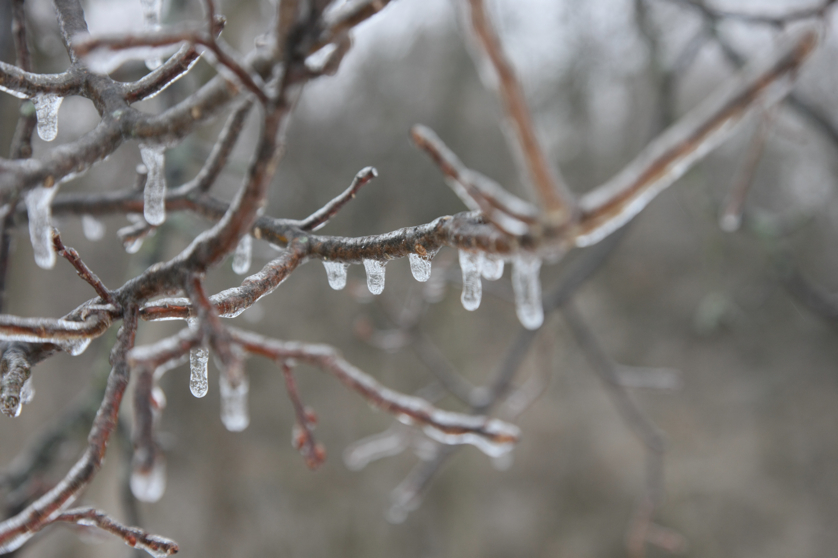 Full Size Image = 2992 K