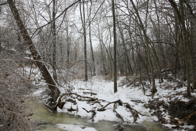 Full Size Image = 6736 K