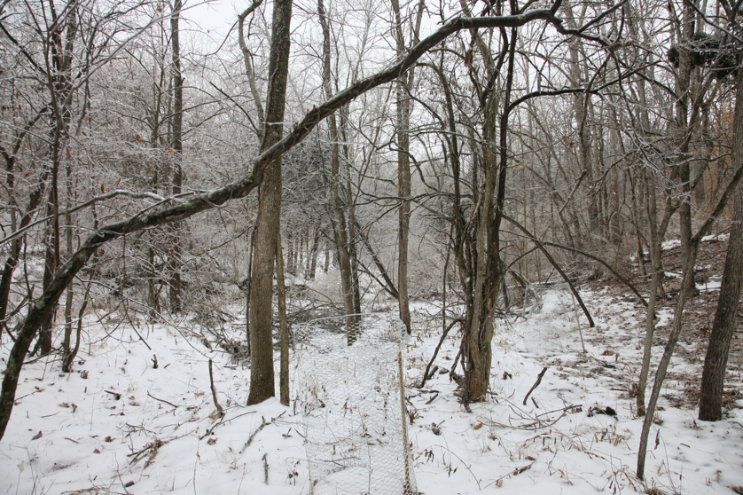 Full Size Image = 6812 K