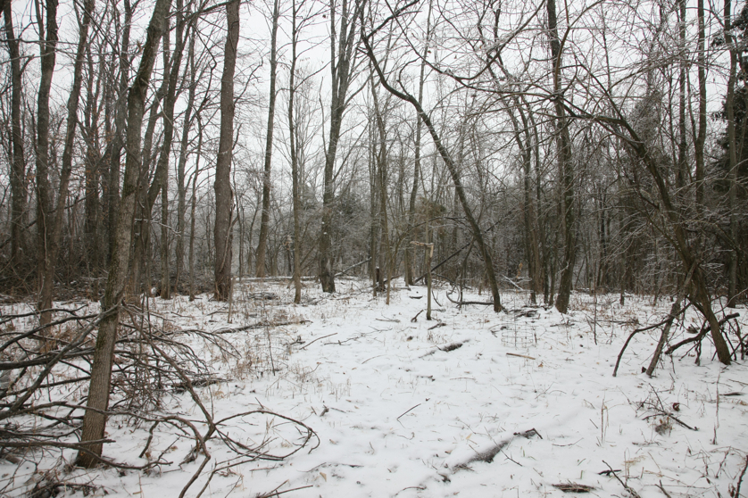 Full Size Image = 6412 K