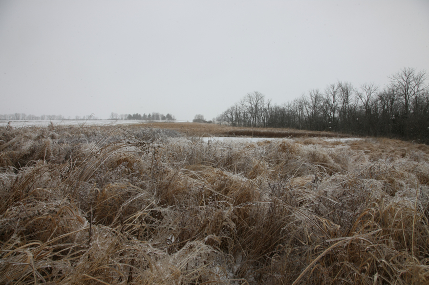 Full Size Image = 4662 K