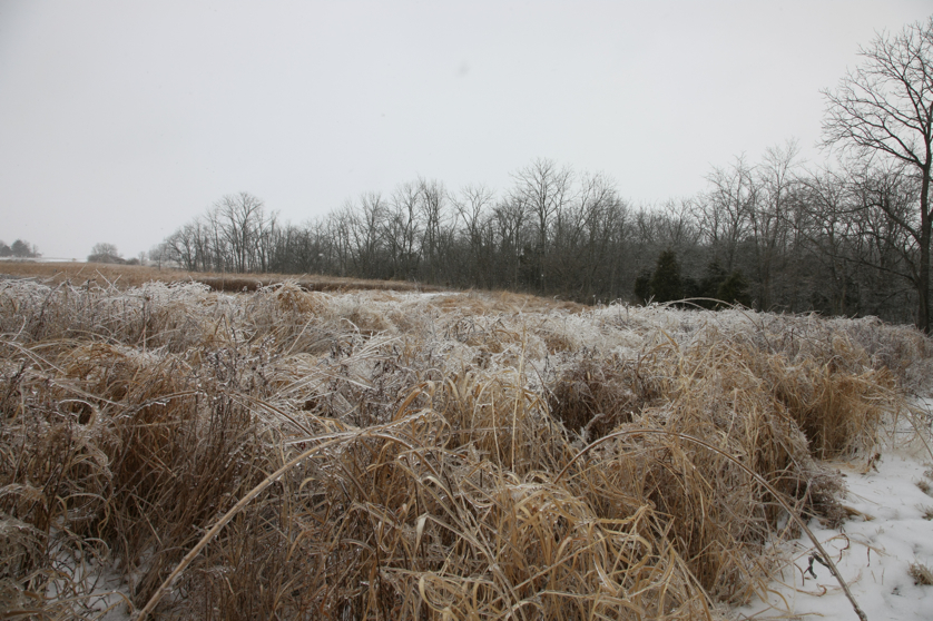 Full Size Image = 5192 K