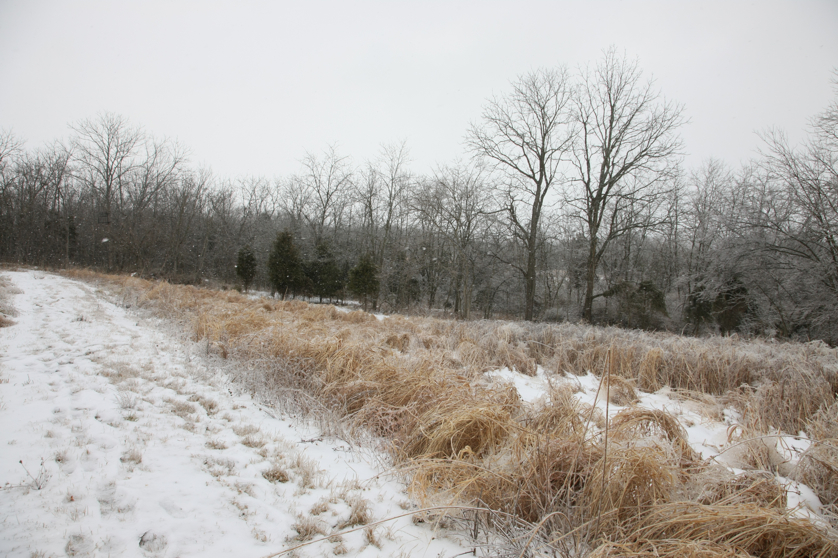 Full Size Image = 5045 K