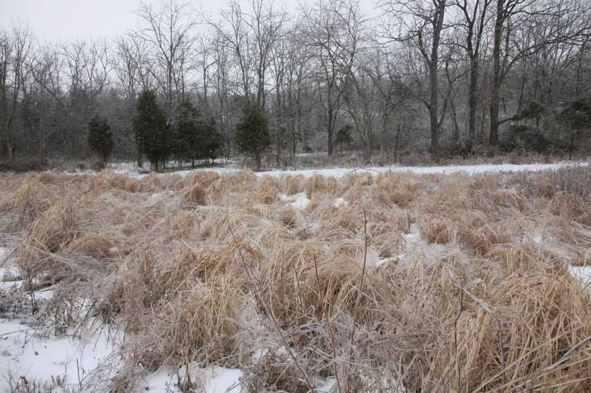 Full Size Image = 6865 K