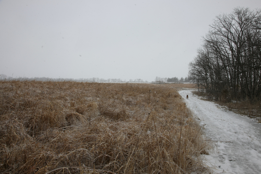 Full Size Image = 4715 K