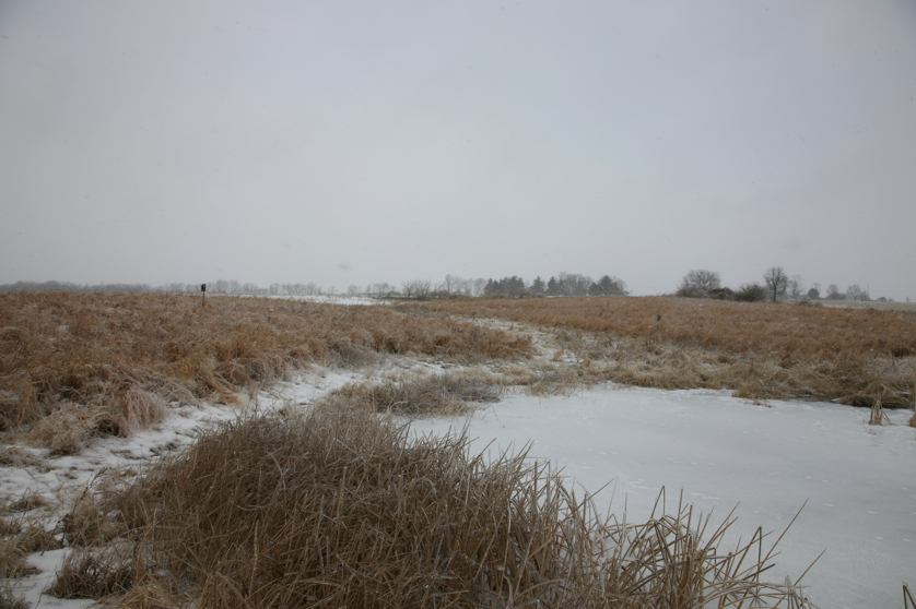 Full Size Image = 3737 K