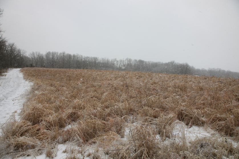 Full Size Image = 4696 K