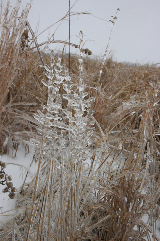 Full Size Image = 3728 K