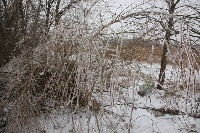 Full Size Image = 6271 K