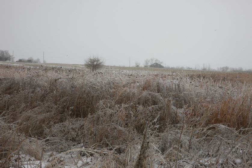 Full Size Image = 4902 K