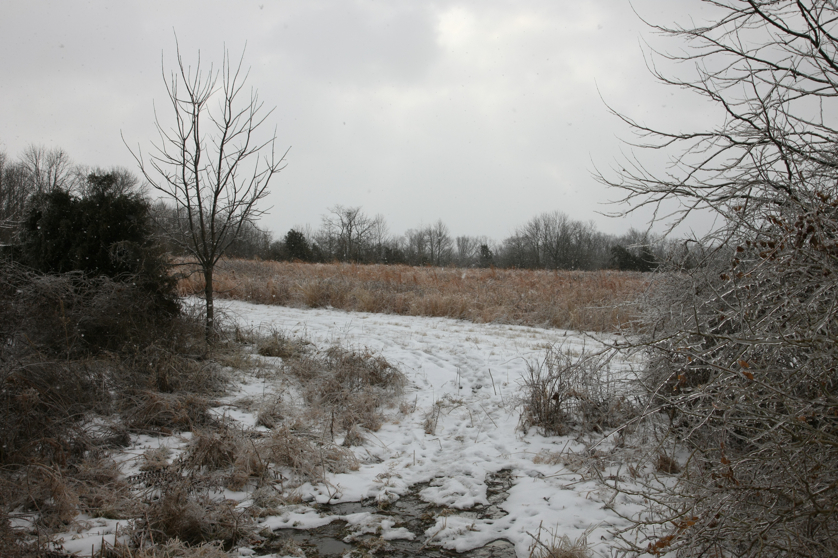 Full Size Image = 4894 K