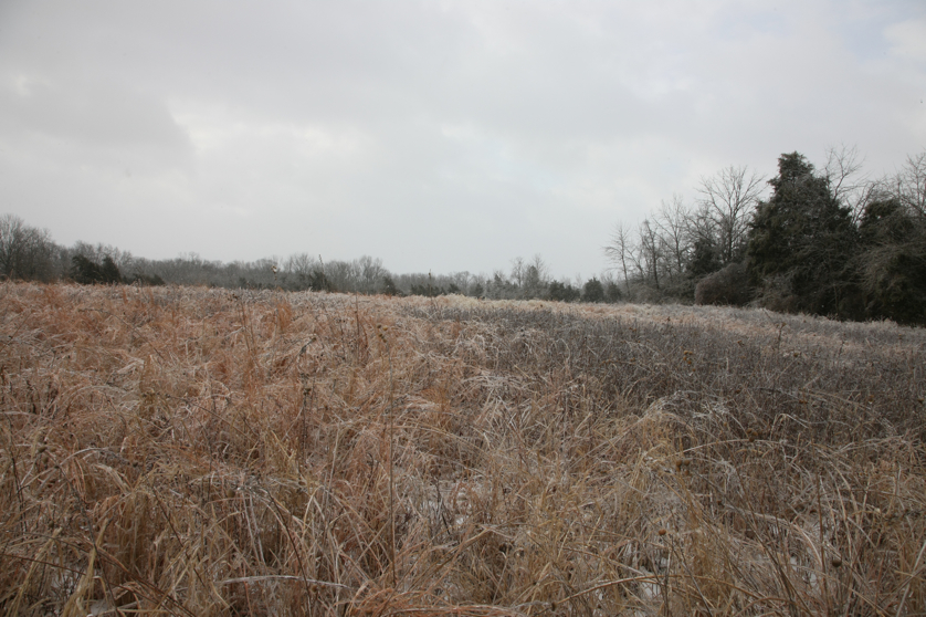 Full Size Image = 4870 K