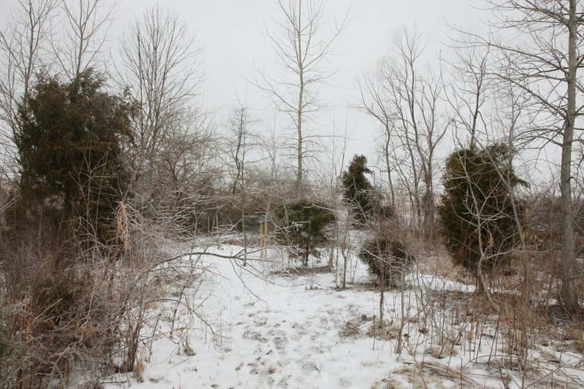 Full Size Image = 6165 K