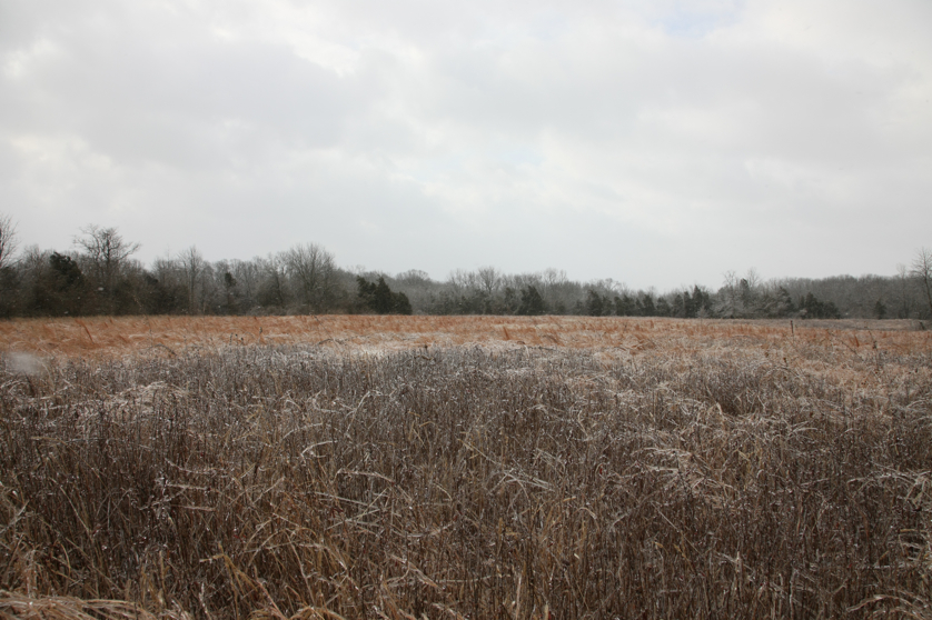 Full Size Image = 4583 K