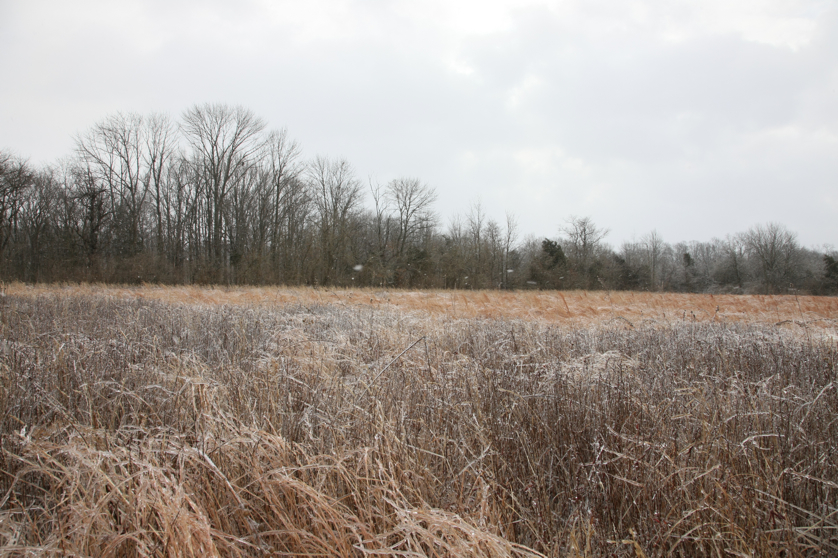 Full Size Image = 5478 K