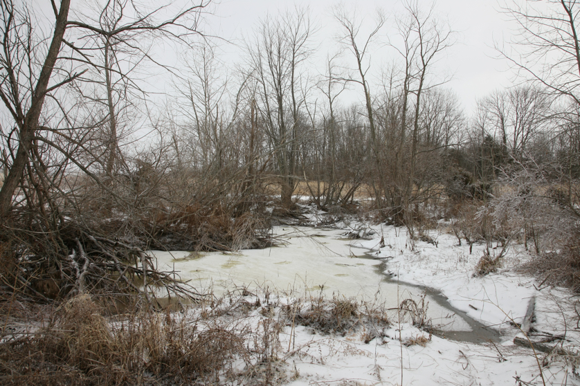 Full Size Image = 6353 K