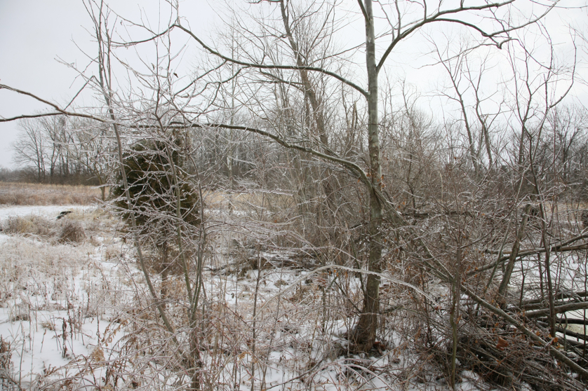 Full Size Image = 6648 K