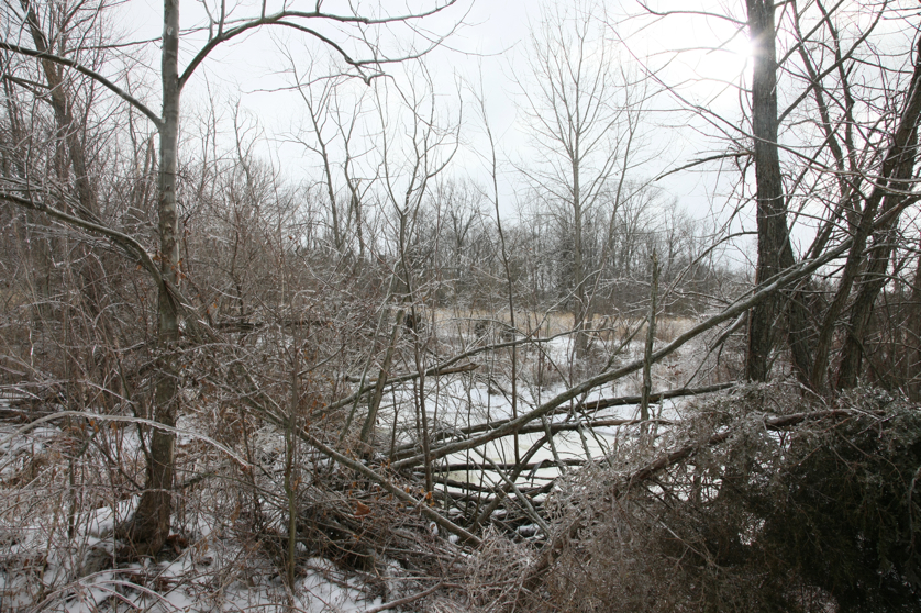 Full Size Image = 6880 K