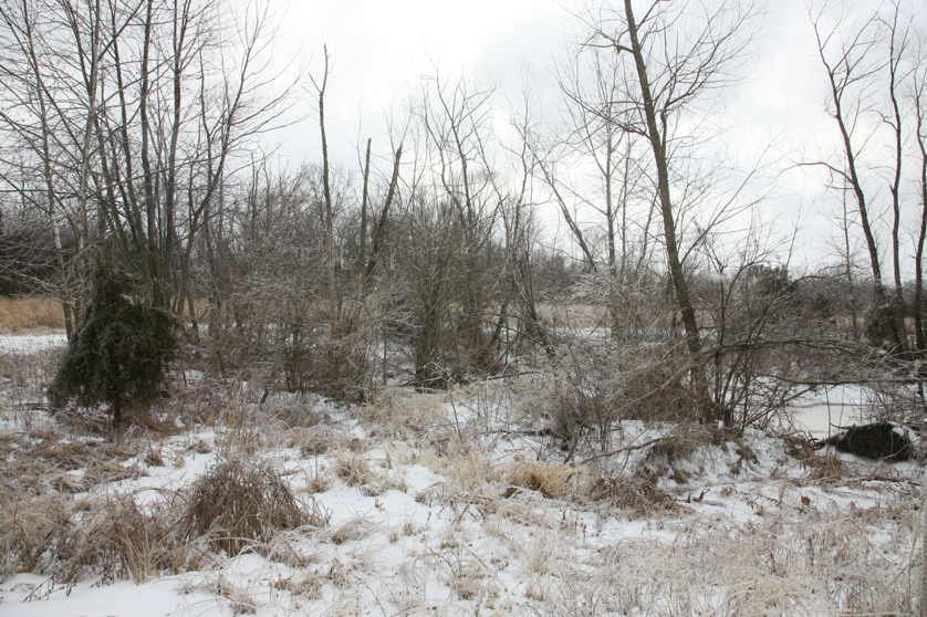 Full Size Image = 6682 K