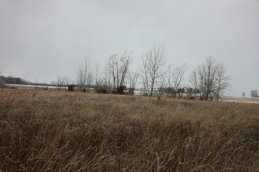 Full Size Image = 4545 K