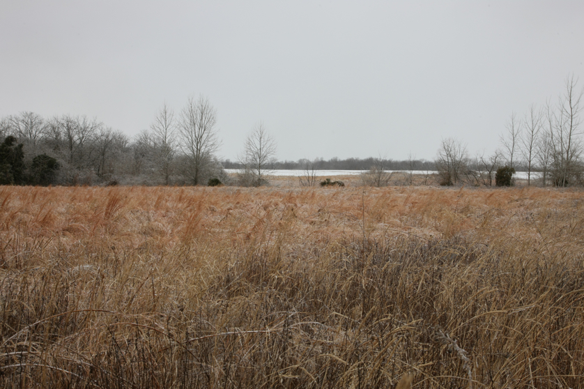 Full Size Image = 4947 K