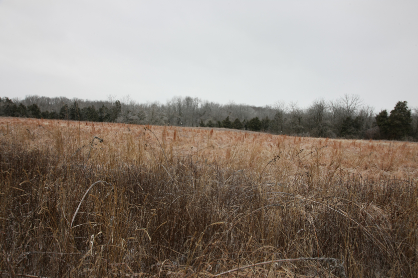 Full Size Image = 4857 K