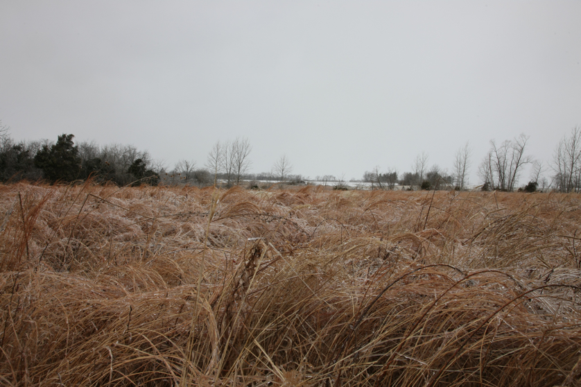 Full Size Image = 4683 K