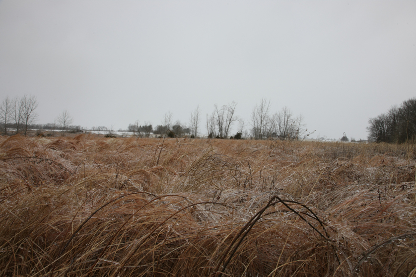 Full Size Image = 4460 K